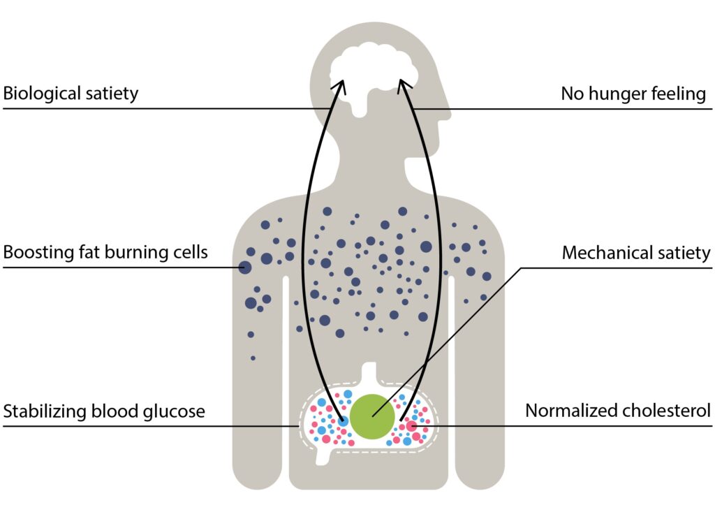SÅDAN VIRKER DET BETTER FIBERS = VÆGTTAB